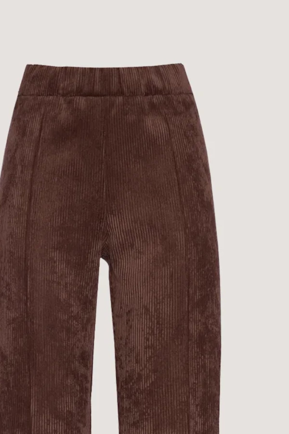 Pantalone basico pulito in velluto a coste Cioccolato